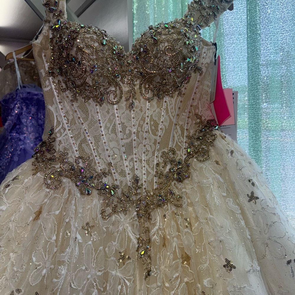 NEW Quinceanera Gown
